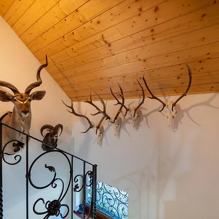 Prázdninový dům Safran Liptovský Ján